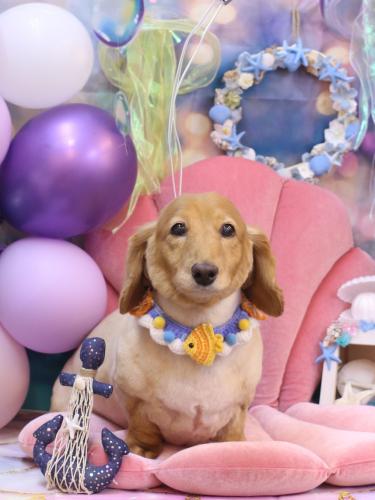 20240831レオンくん